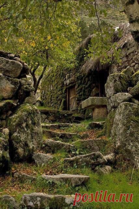 Лестницы  Facebook