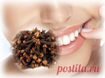 ПРЯНОСТЬ КОТОРАЯ СПАСАЕТ ОТ МНОЖЕСТВА БОЛЕЗНЕЙ 100% ЕСТЬ У ВАС НА КУХНЕ — Journal women❜s