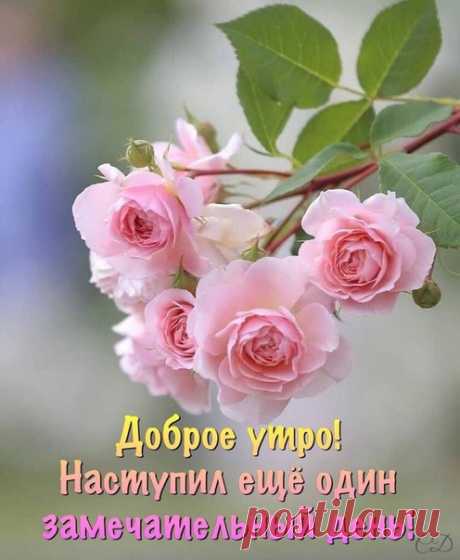 Доброе утро!)