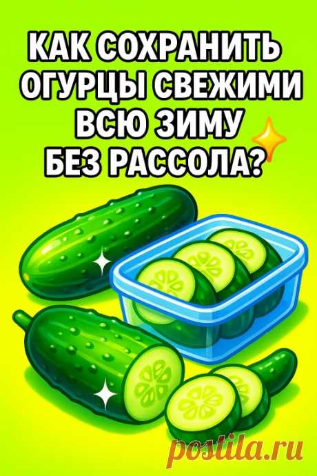 🥒 Огурцы, которые остаются свежими 250 дней — способ из... | Интересный контент в группе Дача - Загородный Рай. Идеи!
