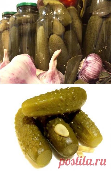 МОИ «СОЛЕНЫЕ» И МАРИНОВАННЫЕ ОГУРЦЫ | 4vkusa.ru