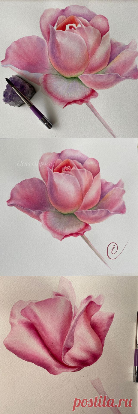 Художник-Преподаватель в Instagram: «Эту розу 🌹 я написала всего тремя акварельными красками ❤️💙💛 Конда пишу акварелью Цветы, я люблю использовать минимум красок. И я считаю…»