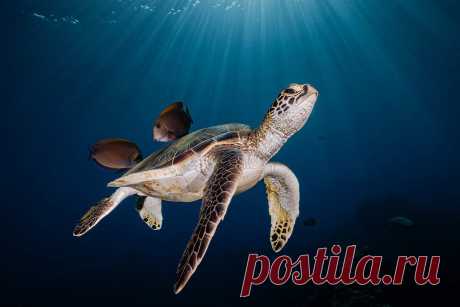Выбраны лучшие фотографии космоса 2023 года - Погода Mail.ru