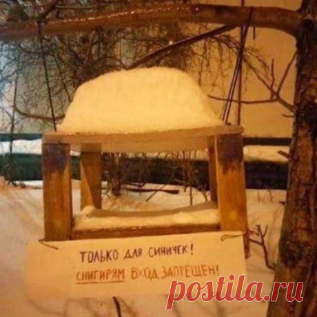 Санкции / Занимательная реклама