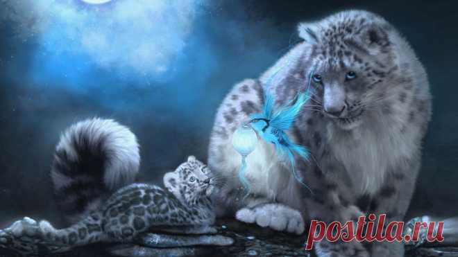 Фэнтези животные - 58 фото - картинки и рисунки: скачать бесплатно