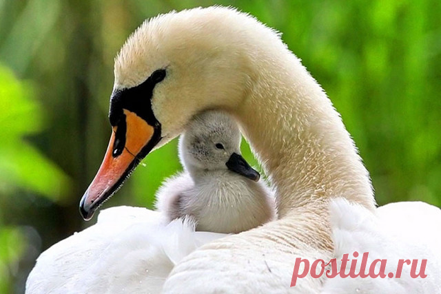 Я в детстве разбивала руки в кровь,
Бывало все:и синяки...,и шишки...
Меня хранила МАМИНА ЛЮБОВЬ:
