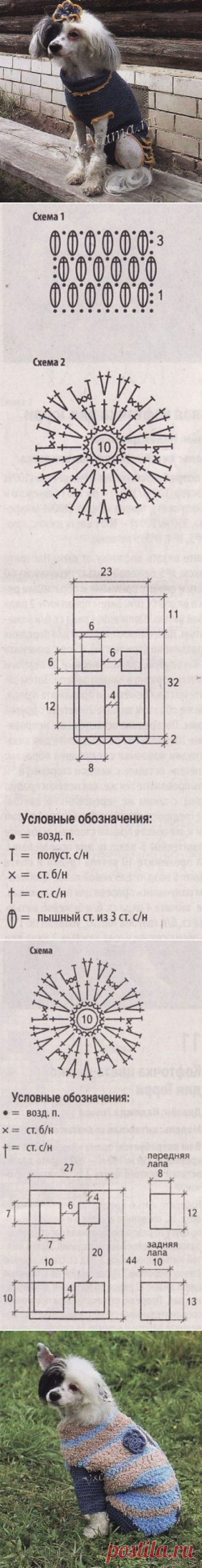 Кофточки для собаки. Описание, схема и выкройка