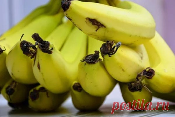 Неизвестные полезные свойства бананов Рекомендуемая пищевая культура способна предотвращать появление камней в почках, она улучшает работу сосудов, сердца и влияет на состояние костей. Бананы содержат метионин, лизин, триптофан, аскорбиновую кислоту, фосфор, железо, бета-каротин, калий и магний. В плодах имеются углеводы,...