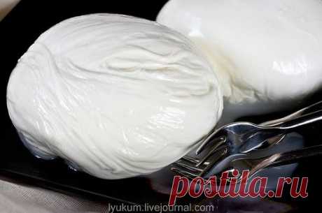 pracooking: Сыроделание и реннин