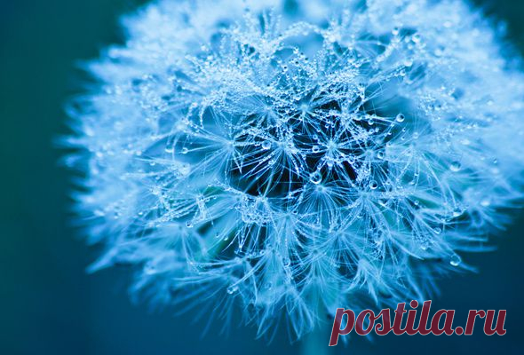 красивые картинки - Поиск в Google