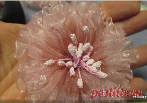 Цветы из капроновой ленты. видео мастер - класс