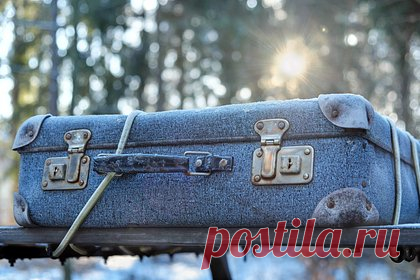 Разлагающееся тело женщины нашли в чемодане на заброшенной автобусной остановке. В Малайзии прохожий нашел чемодан с разлагающимся телом женщины на заброшенной автобусной остановке. В ходе вскрытия выяснилось, что женщина была старше 25 лет, и у нее была травма головы. Суперинтендант полиции отметил, что властям было трудно установить пол, возраст и время смерти из-за сильного разложения трупа.