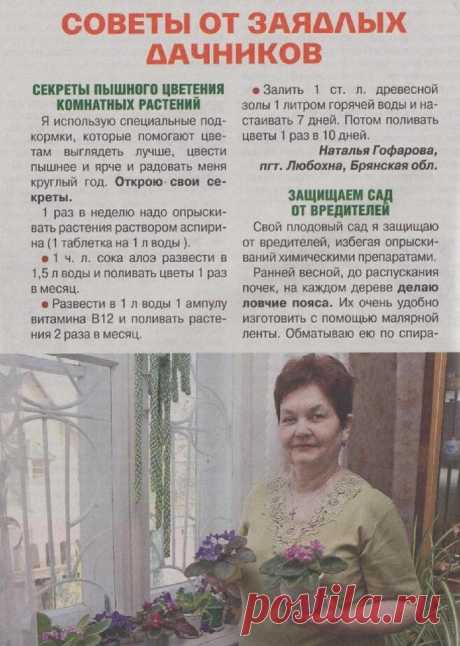 Советы огороднику.