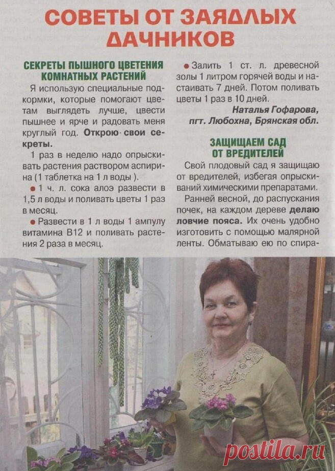 Советы огороднику.