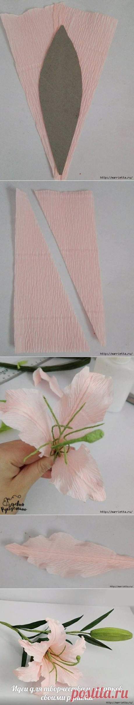 Нежная лилия в пастельных тонах — Сделай сам, идеи для творчества - DIY Ideas