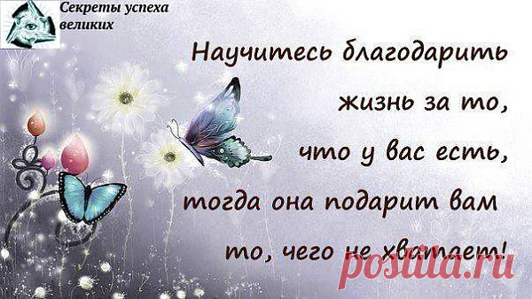 Научитесь благодарить!