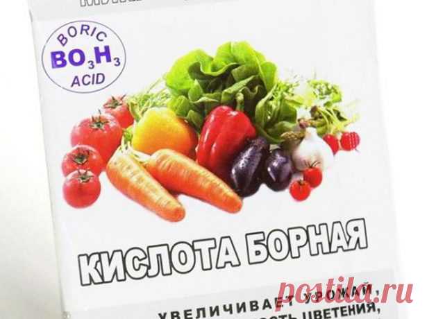 Чем опрыскать огурцы для завязи: народные средства и не только