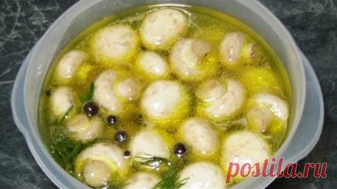 Маринуйте грибы сами