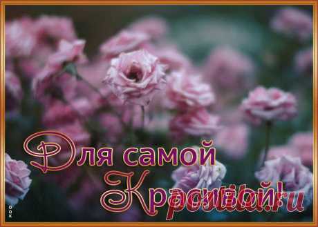 Открытка розы для самой красивой