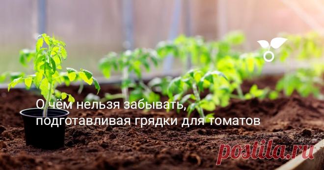 О чём нельзя забывать, подготавливая грядки для томатов Думающие земледельцы постепенно отказываются от глубокой перекопки грядок. Что же делать, если не копать? Поверхностно обрабатывать землю, не затрагивая слои ниже 10 см