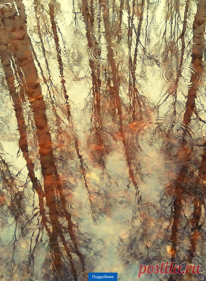 12 лучших фотографий России по версии РГО в 2019 г.