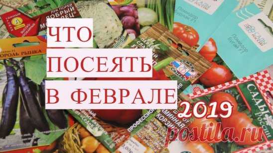 Что ПОСЕЯТЬ в ФЕВРАЛЕ? Почему ВАЖНО СОБЛЮДАТЬ сроки?
https://www.youtube.com/watch?v=QYVW1ZrkLsU&index=2&list=PLqCZWqsWs4QLhdGQ96xOLzYo2WDcwr7Z_&t=0s
Что посадить в феврале? Мои планы на февраль: посадка перца, посадка баклажанов, посадка лука, посадка сельдерея, посадка томатов и другое.Томаты, баклажаны, перец, лук, лук-порей, сельдерей - обо всем этом пойдет речь в данном видео, а точнее, когда посеять эти культуры, чтобы потом радоваться урожаю. 
*** 
Рассада в улитке - это способ посадки ра