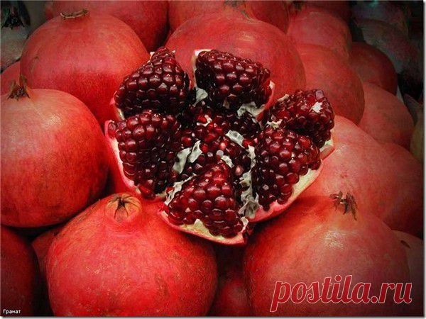♥ღ♥Найдено, открыто и запатентовано♥ღ♥