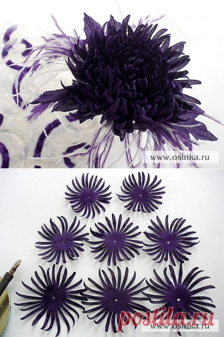 Без заголовка