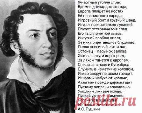 Владимир SK - Самара, Самарская обл., Россия, 49 лет на Мой Мир@Mail.ru