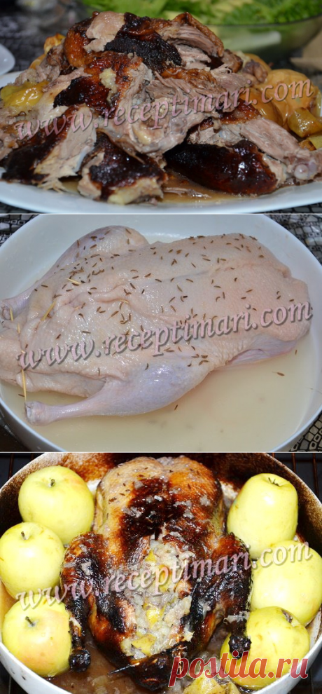 Утка с яблоками и грецким орехом по-чешски вкусный рецепт