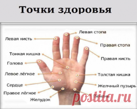 МАССИРУЯ ПАЛЕЦ ПО 1 МИНУТЕ В ДЕНЬ, ПОРАЗИШЬСЯ ТОМУ, ЧТО СЛУЧИТСЯ С ТВОИМ ТЕЛОМ
Точки на большом пальце отвечают за сердце и легкие. Учащенное сердцебиение можно постепенно исправить с помощью массажа этого пальца. 
Указательный палец 
Отвечает за работу ЖКТ. Боли в животе, трудности при пищеварении можно легко преодолеть, массируя указательный палец. 
Средний палец 
Циркуляция крови — его забота. При тошноте, головокружении или бессонице просто помассируй средний палец. 
Безымянный палец