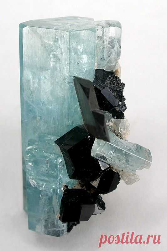 (4) Pinterest