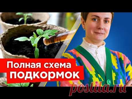 ХОТИТЕ КРЕПКУЮ РАССАДУ И БЫСТРЫЙ РОСТ КОРНЕЙ? Вот лучшая схема подкормок для рассады овощей и цветов