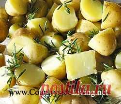 Картофель, картошка. Блюда и рецепты из картофеля