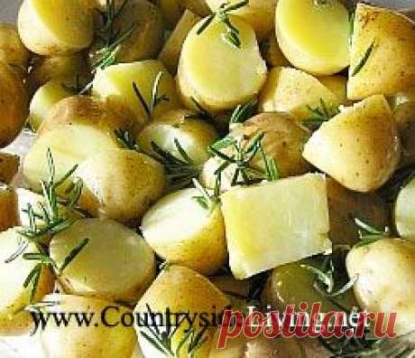 Картофель, картошка. Блюда и рецепты из картофеля