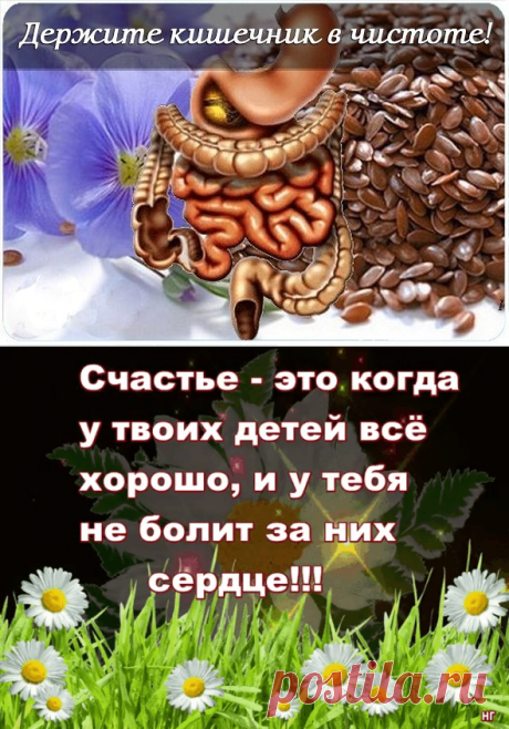 ЧИСТИМ  КИШЕЧНИК