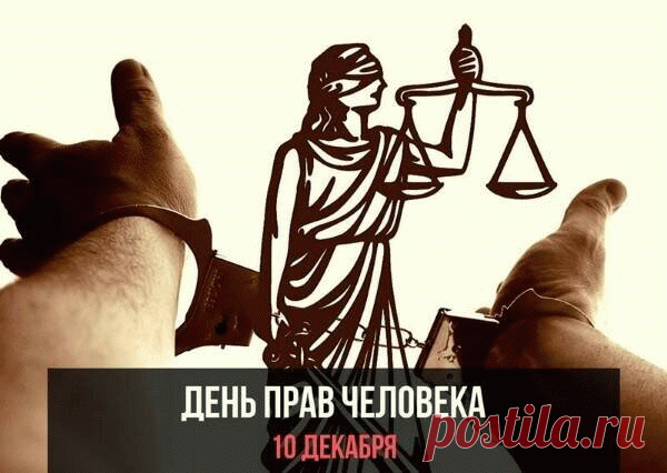 Права человека, они так важны,
И нам, безусловно, очень нужны.
На свободу, на мысли, на слово —
Да, ну что здесь такого?
