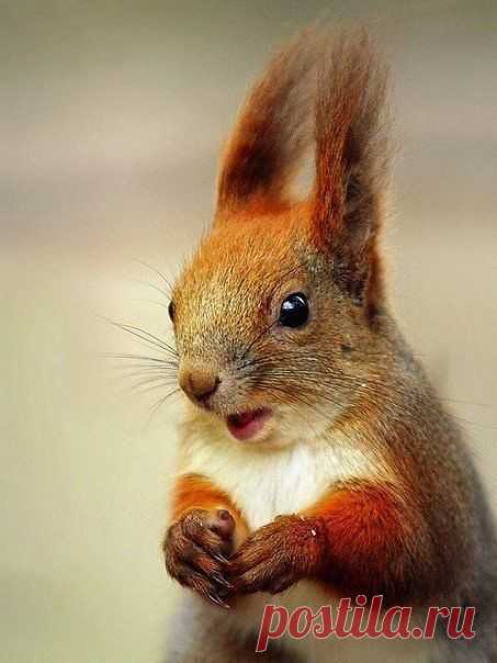 Фотографии на стене сообщества | 32 859 фотографий