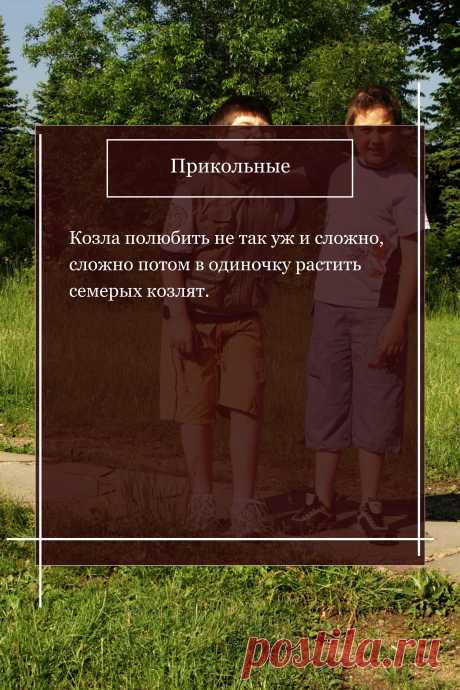 Цитата про «Приколы» — Козла полюбить не так уж и сложно, сложно потом в…