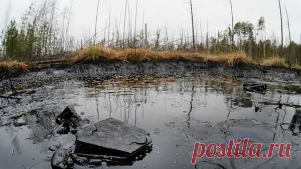 В Коми после нефтеразлива очистили более 1,5 тысячи "квадратов" территории