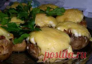Лучшие кулинарные рецепты: Закуски