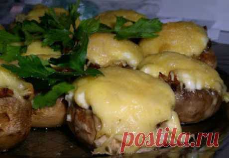 Лучшие кулинарные рецепты: Закуски