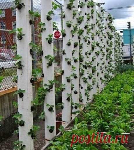10 идей вертикальных грядок
