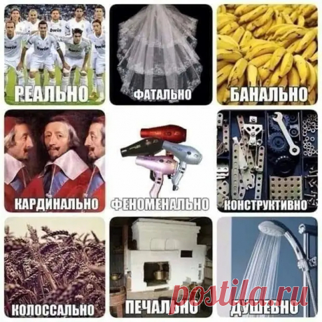 - А чем вы кормите своего мужа?... - Смехопанорама - медиаплатформа МирТесен