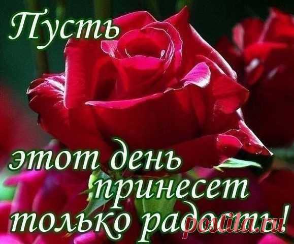 image (579×480)
