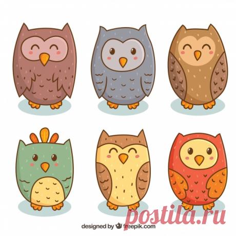 Коллекция мультяшной совы из шести Более миллиона свободных векторов, PSD, фотографии и бесплатные иконки. Эксклюзивные халявы и все графические ресурсы, которые необходимые для ваших проектов