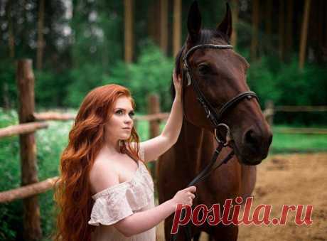 Неотразимые животные (55 фото)