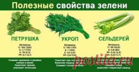 7 видов полезной зелени, которую можно вырастить на подоконнике или грядках