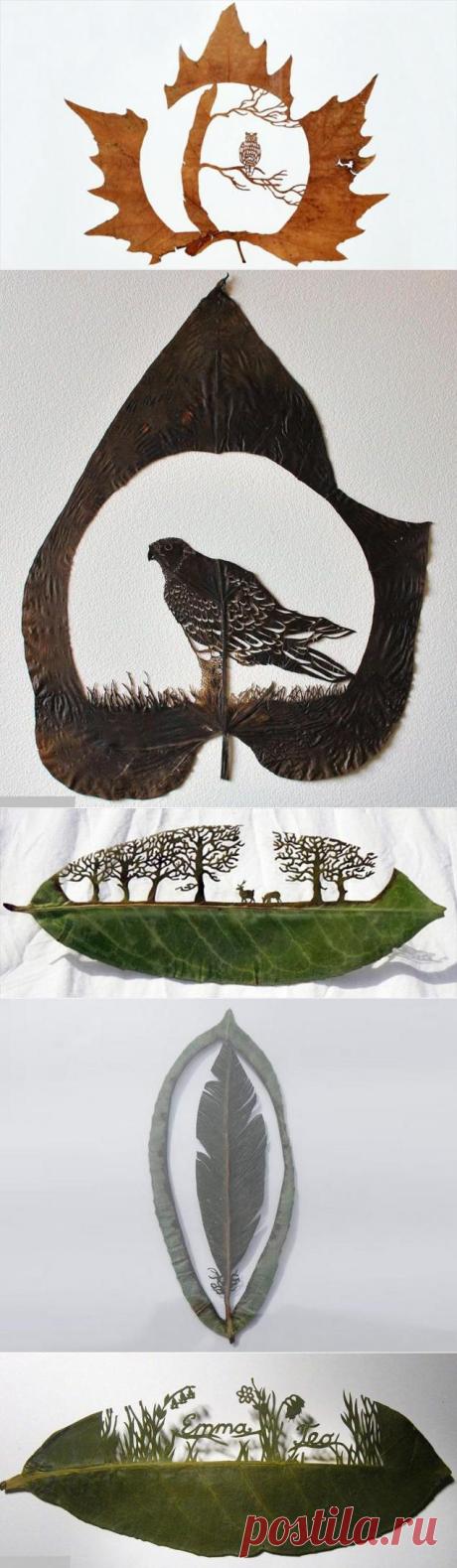 Тайные рисунки листьев - Ярмарка Мастеров - ручная работа, handmade