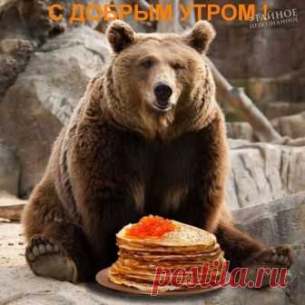 Пирог из фарша с сырной начинкой